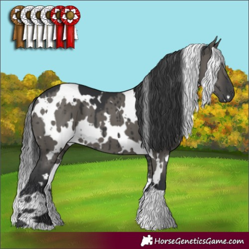 Horse Color:White Spotted Grullo Brindle 