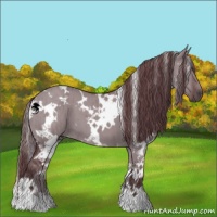 Horse Color:White Spotted Chocolate Grullo Chinchilla Brindle 