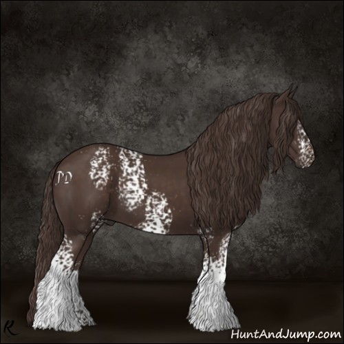 Horse Color:White Spotted Liver Chestnut 