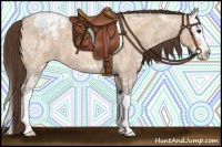 Horse Color:Bay Ice Roan Dun Splash Appaloosa 