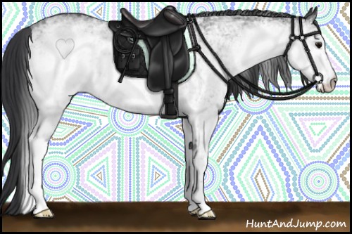 Horse Color:White Spotted Black Rabicano 
