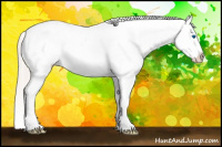 Horse Color:Silver Brown Splash Frame Blanket