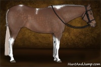Horse Color:Silver Bay Tobiano 
