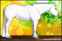 Horse Color:Bay Roan Near Leopard