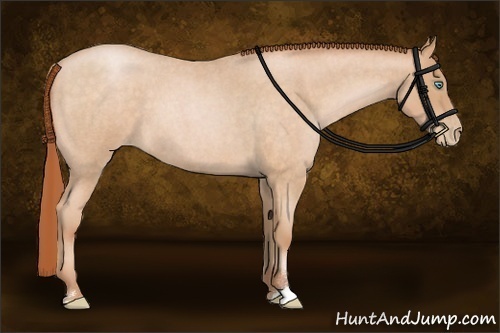 Horse Color:Buckskin Roan Pearl Sabino