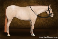 Horse Color:Buckskin Roan Pearl Sabino