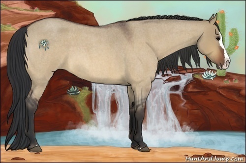 Horse Color:Bay Roan Dun Splash