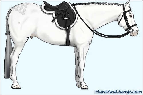 Horse Color:Brown Sabino Appaloosa 