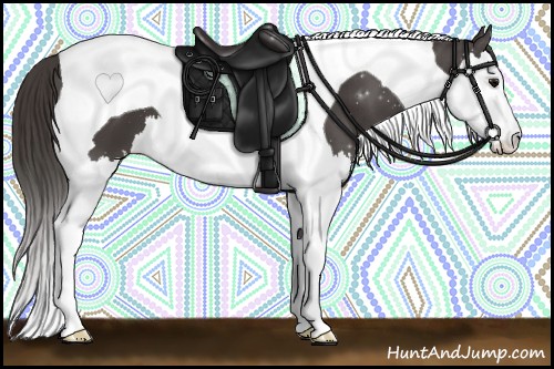 Horse Color:Smoky Black Splash Tobiano