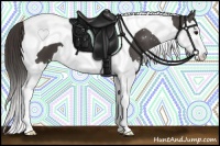 Horse Color:Smoky Black Splash Tobiano