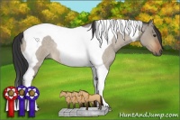 Horse Color:Bay Roan Dun Tobiano