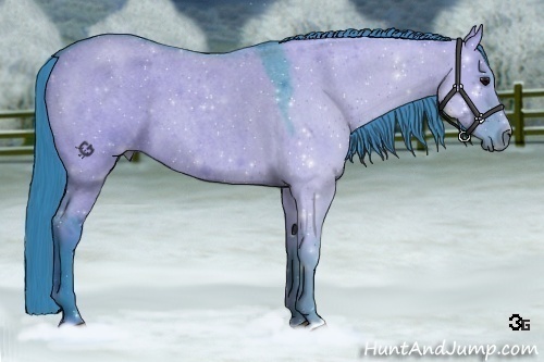 Horse Color:Watercolor Grullo Roan 