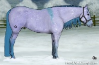 Horse Color:Watercolor Grullo Roan 