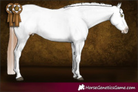 Horse Color:Chestnut Snowflake Varnish