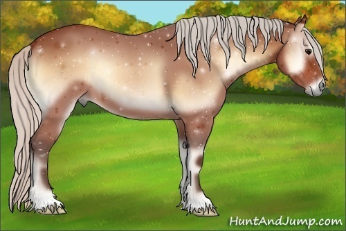 Horse Color:Silver Bay Onyx 
