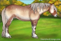 Horse Color:Silver Bay Onyx 