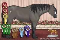Horse Color:Grullo