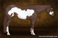 Horse Color:Gray Red Roan Frame