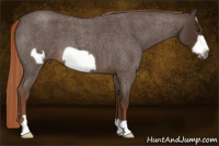 Horse Color:Gray Red Roan Frame 