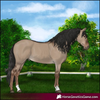 Horse Color:Liver Red Dun 