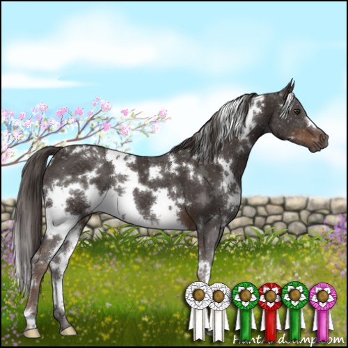 Horse Color:White Spotted Liver Chestnut 