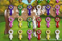 Horse Color:Gray White Spotted Red Dun 