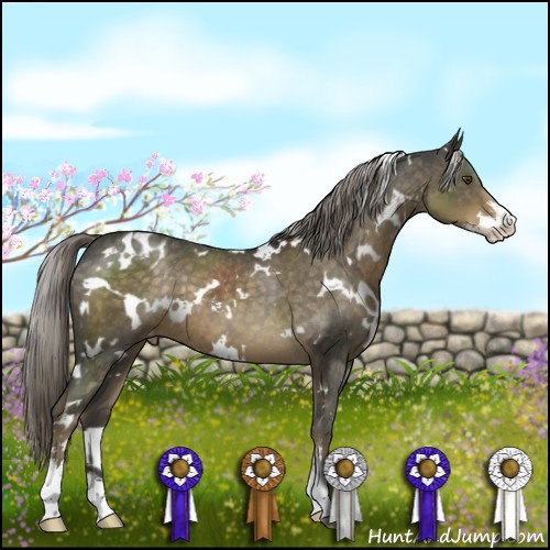 Horse Color:White Spotted Chocolate Palomino Mushroom Sabino Varnish