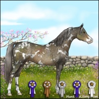 Horse Color:White Spotted Chocolate Palomino Mushroom Sabino Varnish
