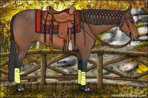Horse Color:Bay Roan Rabicano