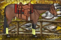 Horse Color:Bay Roan Rabicano 