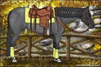 Horse Color:Blue Roan Rabicano 