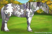 Horse Color:Nacre White Spotted Black 