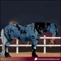 Horse Color:ERROR: UNKNOWN ANOMALY