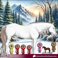 Horse Color:Sable Champagne Appaloosa