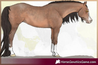 Horse Color:Sable Champagne 