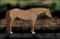 Horse Color:Gray Red Dun
