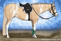 Horse Color:White Spotted Gold Champagne 