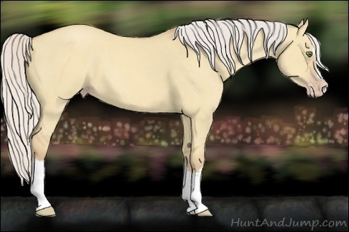 Horse Color:Silver Classic Champagne Dun Splash Frame 