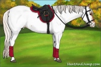 Horse Color:Silver Bay Appaloosa