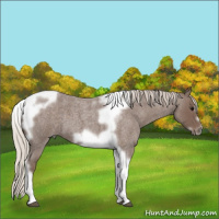 Horse Color:Silver Blue Roan Tobiano Frame