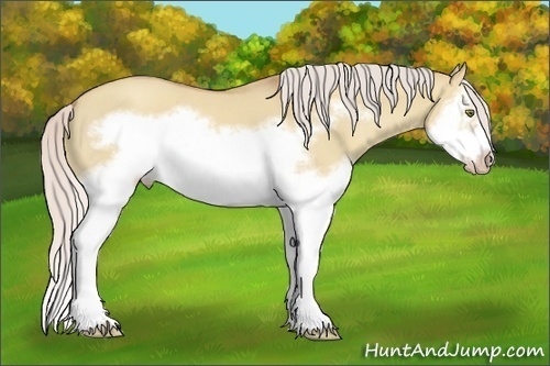 Horse Color:Silver Classic Champagne Dun Splash Frame 