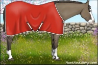 Horse Color:Smoky Grullo Splash 