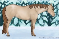 Horse Color:Liver Red Dun Pearl 