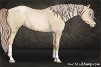 Horse Color:Chocolate Palomino Pearl Dun 