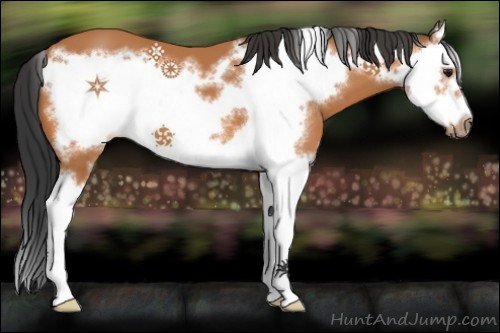 Horse Color:Bay Splash Frame 