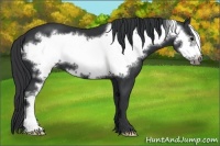 Horse Color:Black Frame