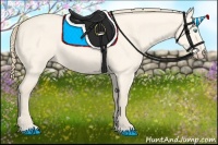 Horse Color:Perlino Dun