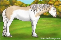 Horse Color:Silver Classic Champagne Dun Splash Frame 