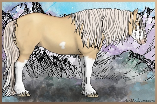 Horse Color:Silver Classic Champagne Dun Splash Frame 