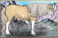 Horse Color:Silver Classic Champagne Dun Splash Frame
